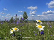 Участок в хорошем месте