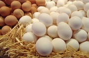 Яйцо куриное,  С1,  белое и коричневое
